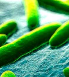 Post thumbnail Overcoming Regulatory and CMC Technical Challenges of Microbiome Product Development