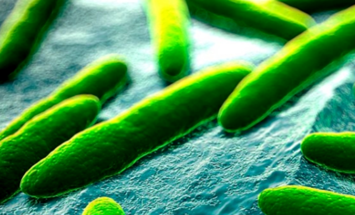 Post thumbnail Overcoming Regulatory and CMC Technical Challenges of Microbiome Product Development