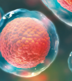 Post thumbnail Regulatory And Development Strategies For Gene & Cell Therapies