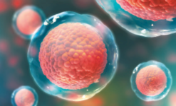 Post thumbnail Regulatory And Development Strategies For Gene & Cell Therapies