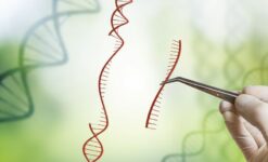 Post thumbnail Advanced Therapy and Medicinal Products: How to overcome the hurdles from bench to clinic ?