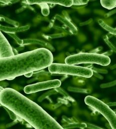 Post thumbnail MICROBIOME: Navigating Regulatory and CMC Technical Development Roadmap